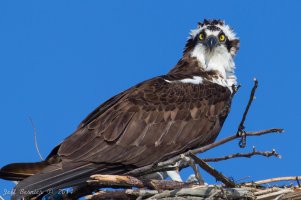 IMG_4211.jpg