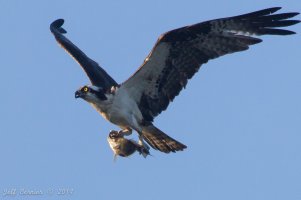 IMG_8174.jpg