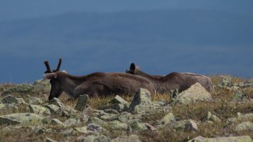 IMG_0639.jpg