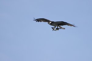 cIMG_8713_1.jpg