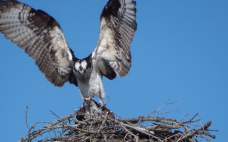 IMG_0044.jpg