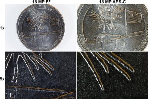 FF vs APS-C Macro.jpg