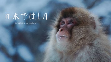 january-in-japan.jpg