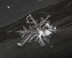 20140122_snowflake_001_small.jpg