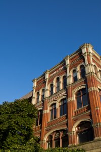 IMG_6690.jpg