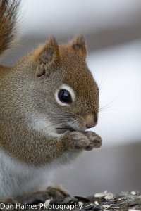 IMG_3496.jpg