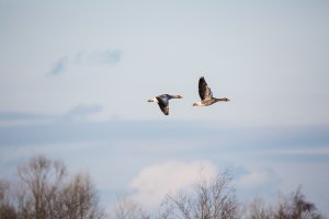 IMG-5254.jpg