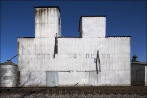 5DA_0706 10x15 100ppi.jpg