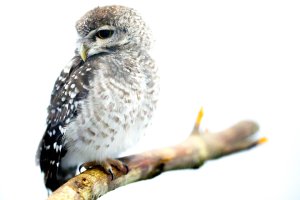 2014_01_05@16_33_20 EOS-1D X 043011002044 _DX_9431.jpg