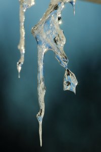 IcicleADayLater_13548.JPG