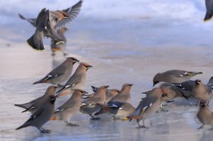 OK Line UP!_10158.JPG