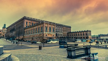 IMG_8191_1.jpg