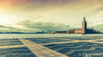 IMG_8238.jpg