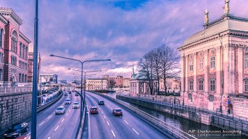 IMG_8227.jpg