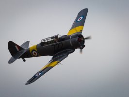 RAAF Centenary (45 of 107).jpg