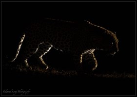 In the Black.jpg