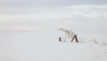 IMG_3389_DxO copy_edited-1.jpg