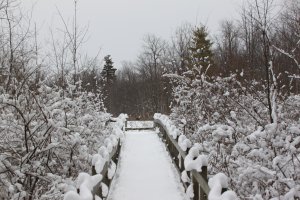 Bridge to Snow-Where.jpg