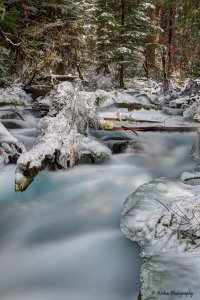 Olallie Creek Winter.jpg