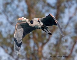 _N4B7718 copy copy.jpg