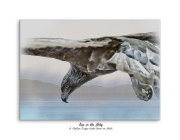 EC6Q8829-9x7 frame-2.jpg