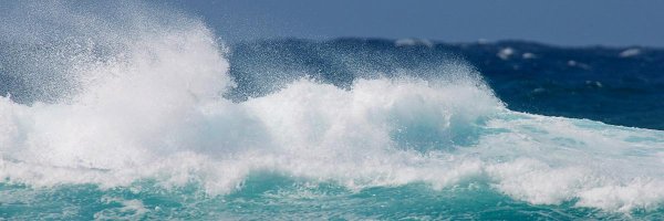 hookipa_88419.jpg