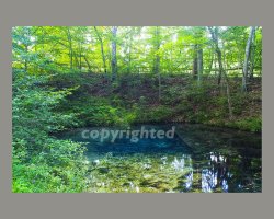 Spring at Red Clay, medium, c.jpg