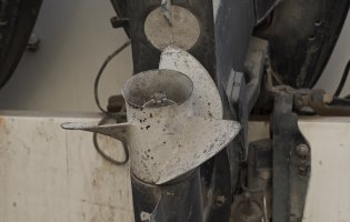 _DSC0079 -100%crop .jpg