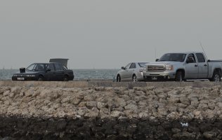 _DSC0085 -100%crop.jpg