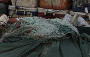 _DSC0124 -100%crop.jpg