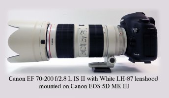 White Lens hood for Canon EF 70-200 L IS II lens.jpg
