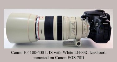 White Lens hood for Canon EF 100-400 L IS lens3.jpg