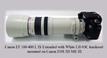 White Lens hood for Canon EF 100-400 L IS lens extended 2.jpg