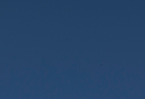 Screen Shot 2014-03-20 at 12.45.51 PM.png