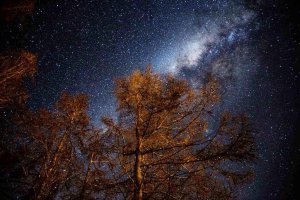 Ohakune Milky Way.jpg
