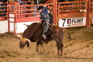 Bullriding.jpg