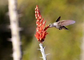 2014-03-29 at 18-46-44.jpg