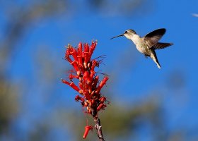 2014-03-29 at 18-46-29.jpg