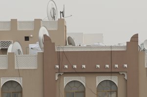 a7R_with Canon 24-70_FL70_Ap4_ISO100_crop100%.jpg