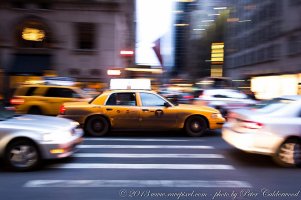 IMG_0463-2s1.jpg