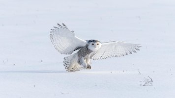 r1080 Mar 2 2014 dated signed_MGL0083.jpg