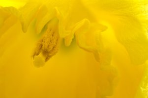 2014-04-01_14-45-35 M=B R=8 S=4_DxO_edited-1.jpg