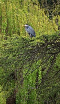 IMG_5734 2_DxO_DxO.jpg