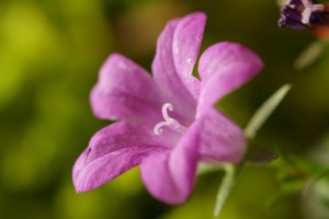 IMG_3366.JPG