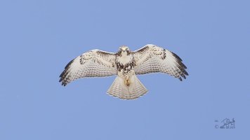 r1080 Mar 21 2014 dated signed_MGL0077.jpg