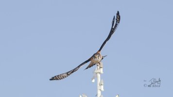 r1080 Mar 21 2014 dated signed_MGL0196.jpg