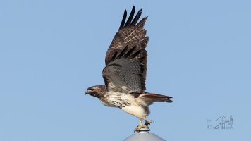 r1080 Mar 30 2014 dated signed_MGL0073.jpg