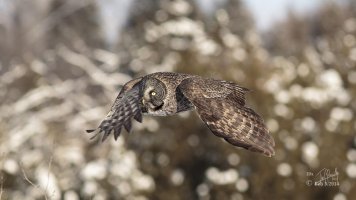 resized 1080 Feb 3 2014 dated signed_MGL0085.jpg