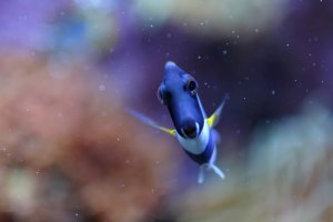 IMG_6356.JPG