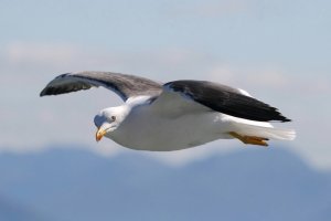 IMG_4464.JPG